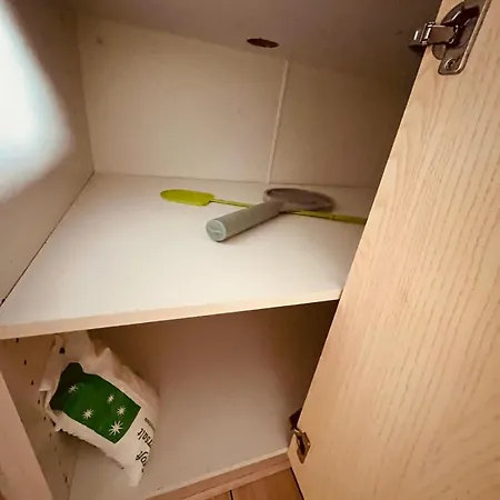 فيلة In بيلوند